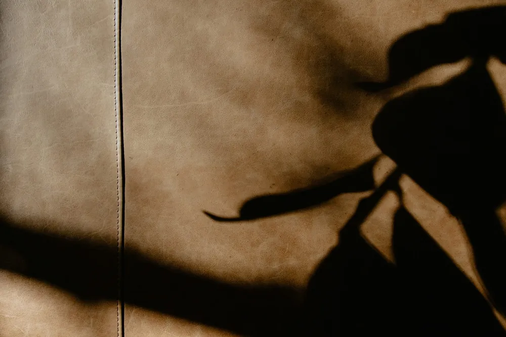 Tan mycelium leather with the shadow of a leaf falling across it